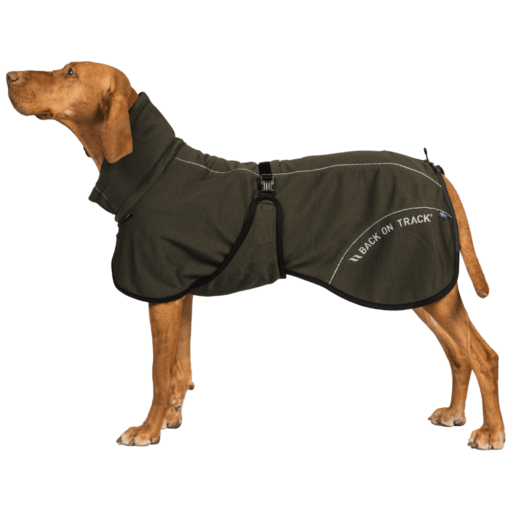 Bay Mesh Coat High Set Tail 70-75 cm Olive, view: 1