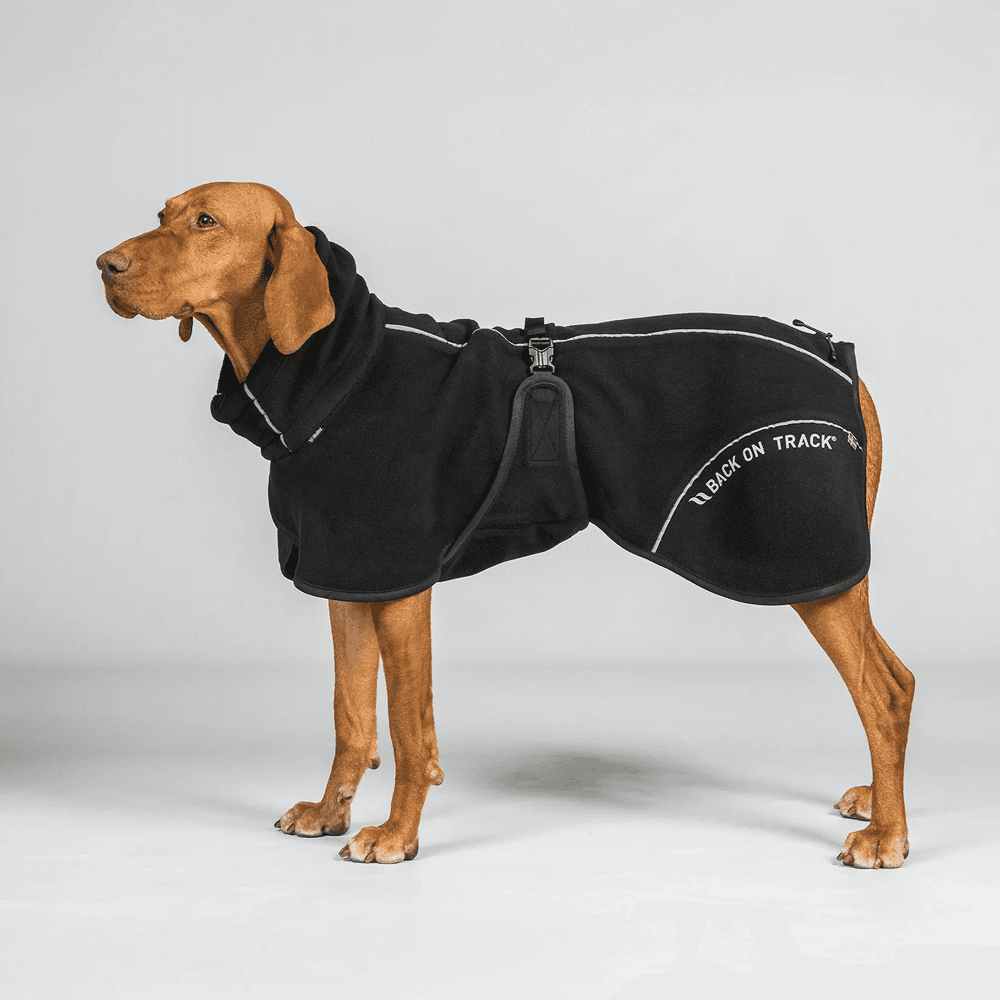 Bay Fleece Coat High Set Tail 40-50 cm Black, view: 1