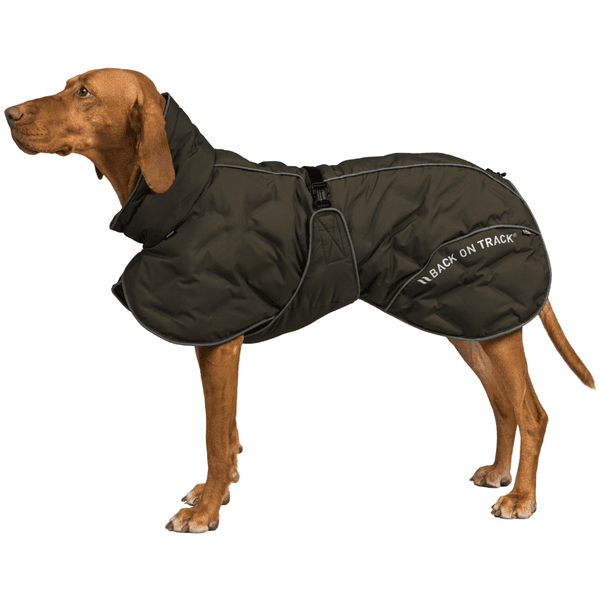 Bay Padded Coat High Set Tail 55-65 cm Olive, view: 1