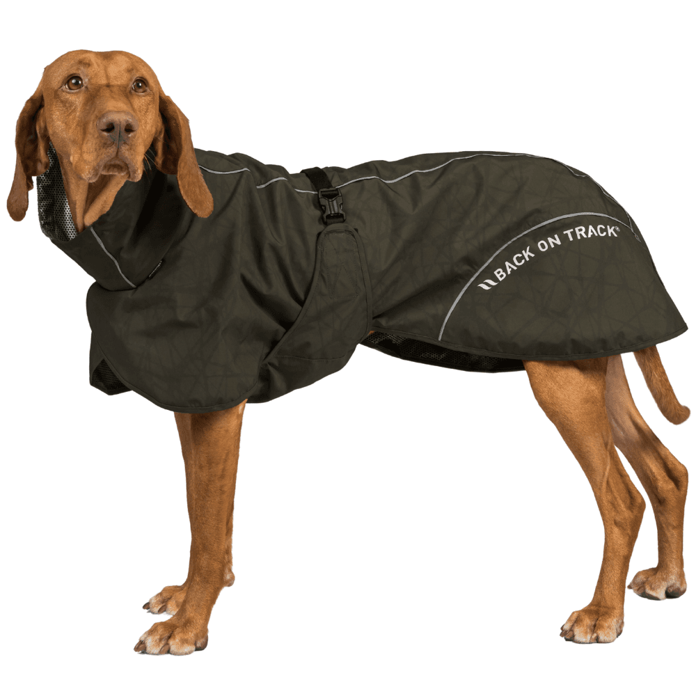 Bay Rain Shell Coat Low Set Tail 40-50 cm Olive, view: 1