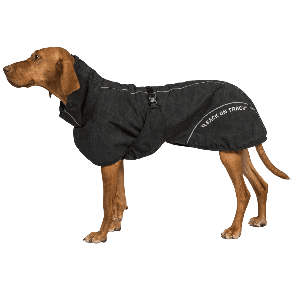 Bay Rain Shell Coat Low Set Tail 70-80 cm Black, view: 1