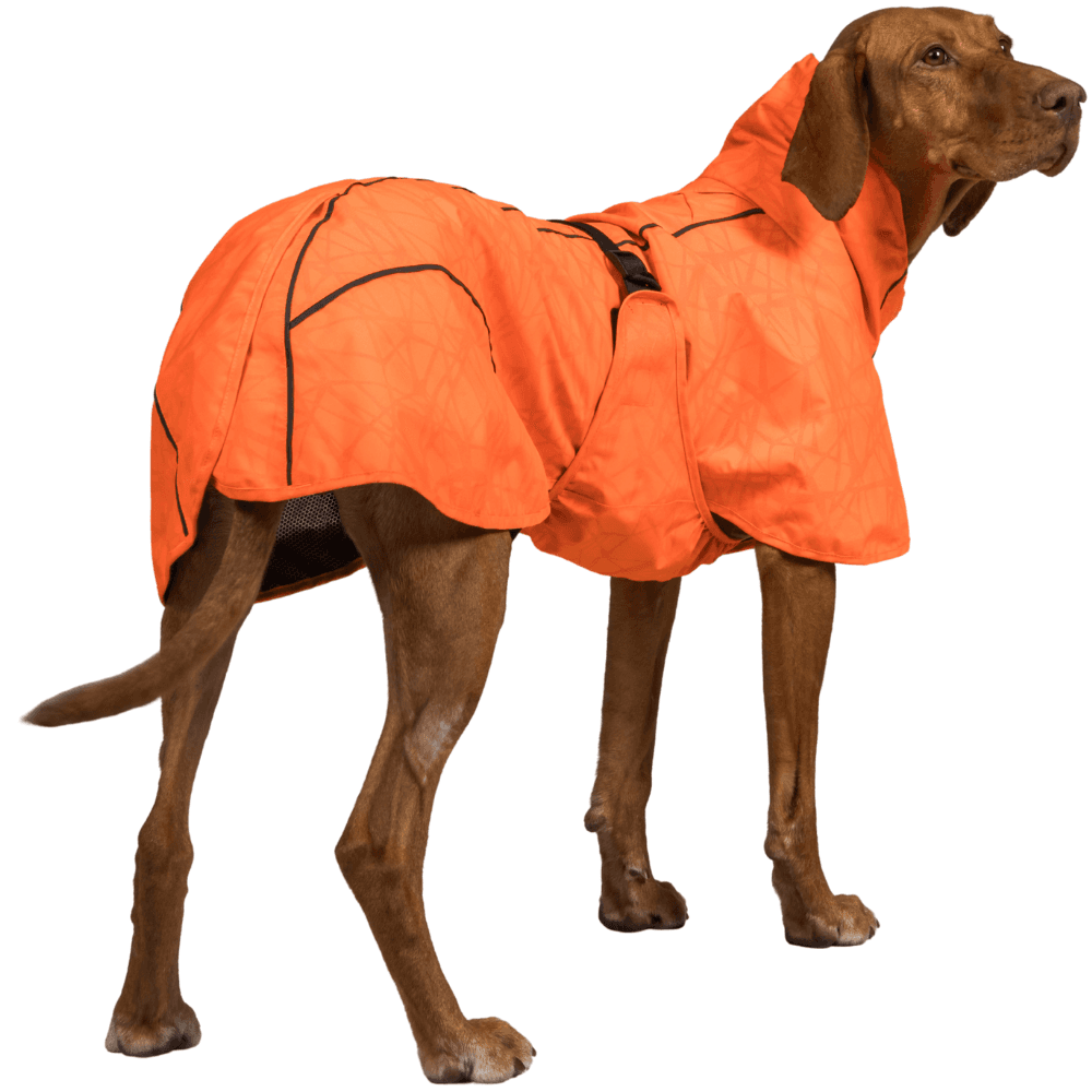 Bay Rain Shell Coat Low Set Tail 70-75 cm Orange, view: 2