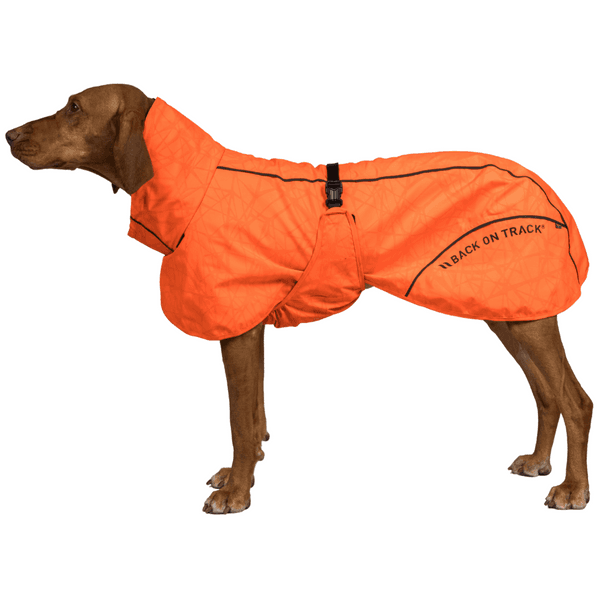 Bay Rain Shell Coat Low Set Tail 70-75 cm Orange, view: 1