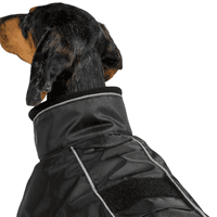 Buddy 2.0 Thermal Coat High Set Tail 50-68 cm Black - view: 1