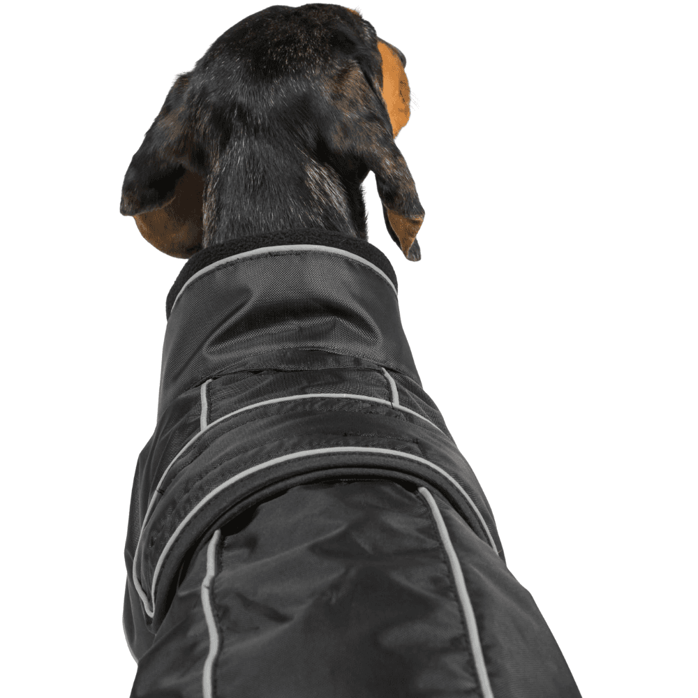 Buddy 2.0 Thermal Coat High Set Tail 50-68 cm Black, view: 2
