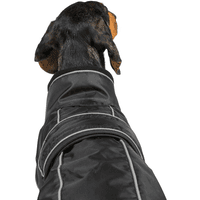 Buddy 2.0 Thermal Coat High Set Tail 50-68 cm Black - view: 2