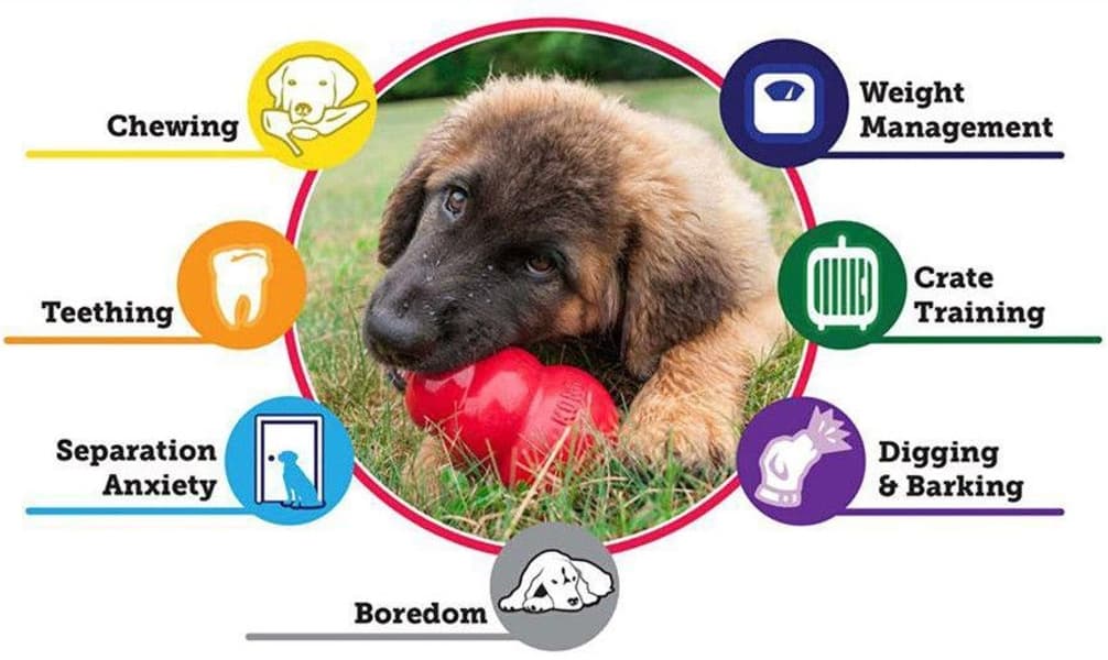 Puppy koiranpennun lelu, L, Mix, view: 2