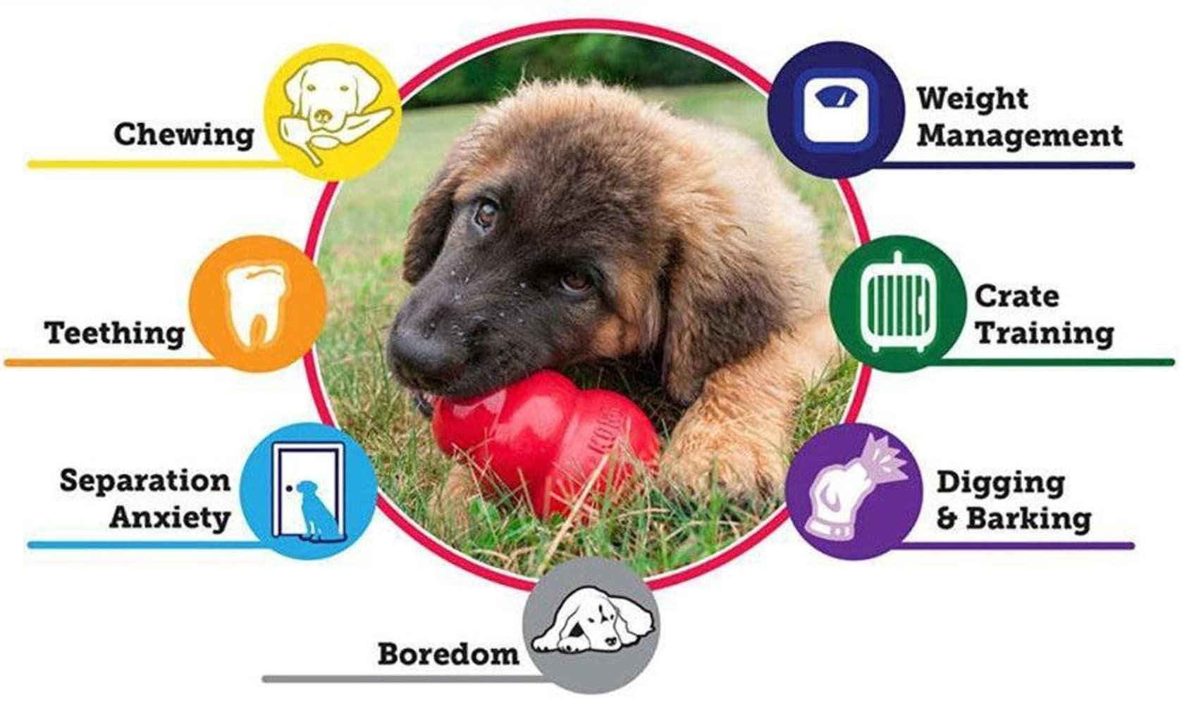 Puppy koiranpennun lelu, M, Mix, view: 2