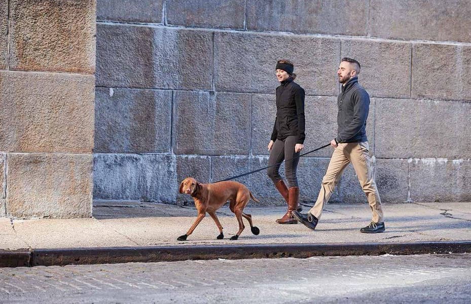 Dog Boots Black L, view: 7