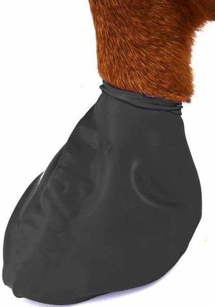 Dog Boots Black L, view: 1