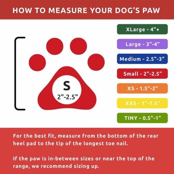 Dog Boots Black S, view: 3