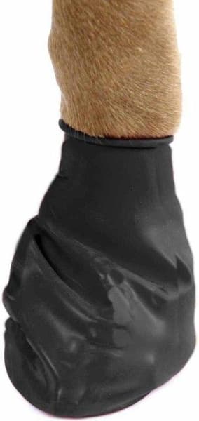 Dog Boots Black XS, view: 1