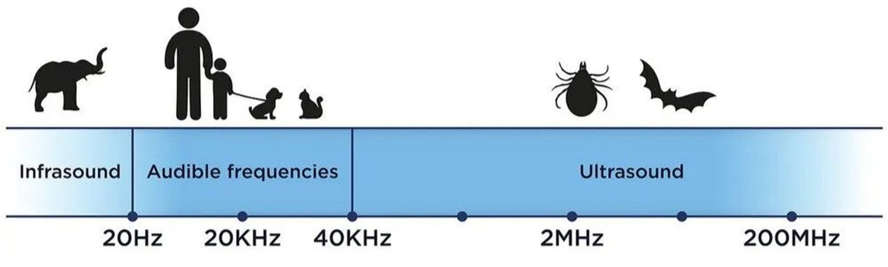 Active Green, view: 3