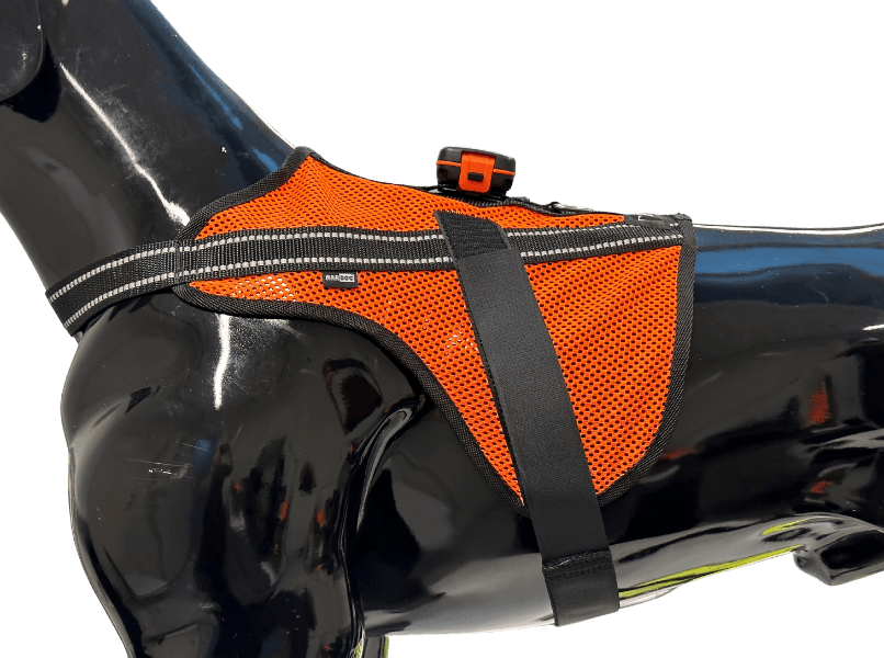 Aira koiraliivi, view: 3