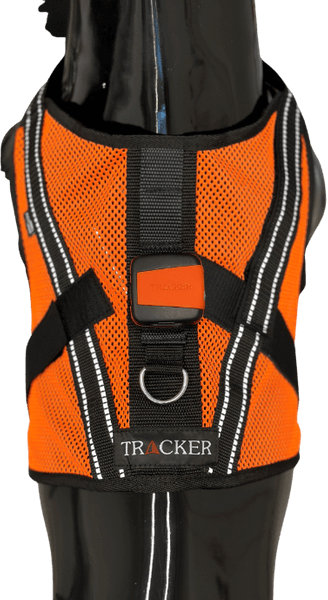 Aira koiraliivi, view: 4