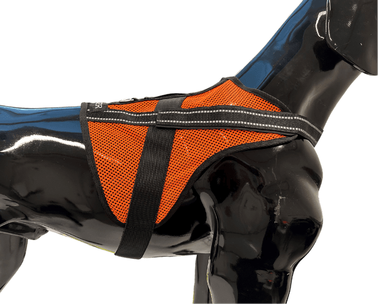 Aira koiraliivi, view: 2