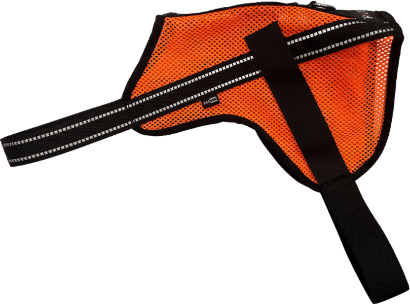 Aira koiraliivi, view: 0