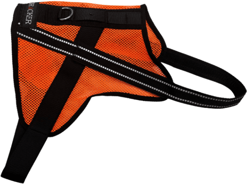 Aira koiraliivi, view: 1