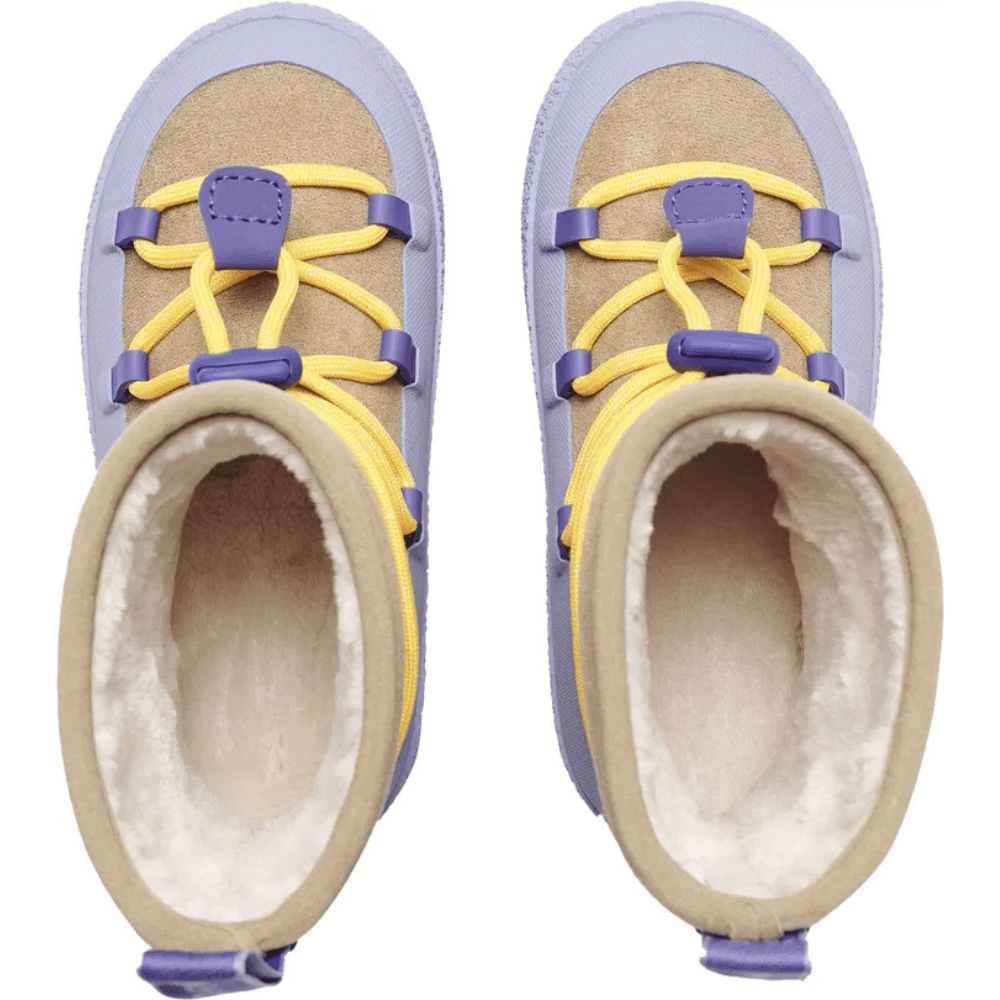 Aspa Hybrid Junior Persian Violet, view: 4