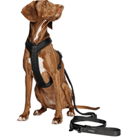 L-2-Jogging-Leash L Black - view: 2