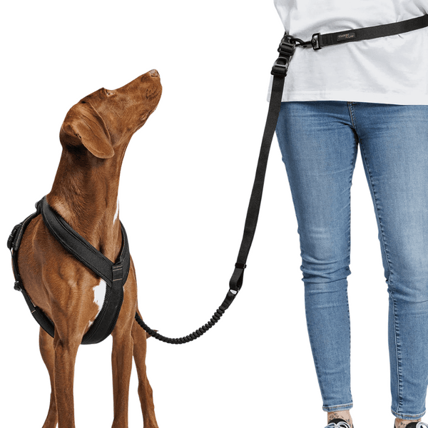 L-2-Jogging-Leash L Black, view: 3