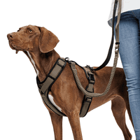 L-2-Jogging-Leash L Olive - view: 3