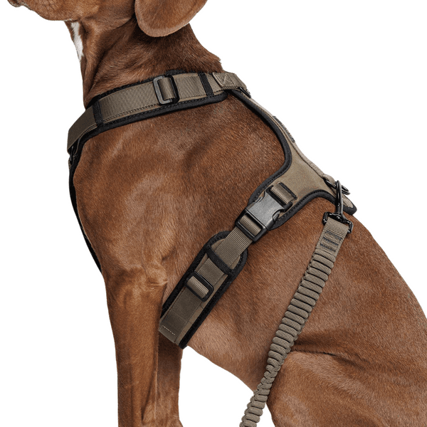 L-2-Jogging-Leash L Olive, view: 4