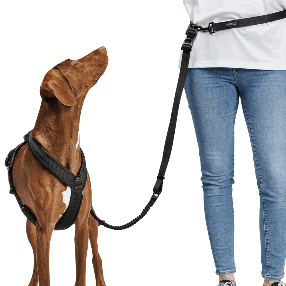 L-2-Jogging-Leash S Black, view: 3