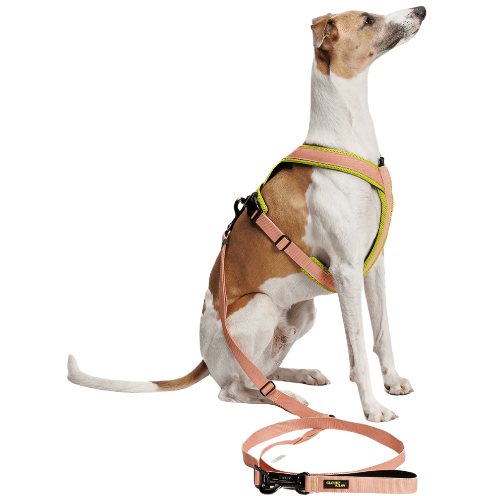 L-1-Hands-Free-Leash L Peach, view: 2