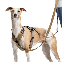 L-1-Hands-Free-Leash L Khaki / Grey - view: 3