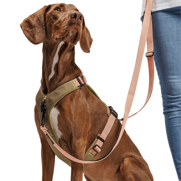 L-1-Hands-Free-Leash S Peach, view: 4