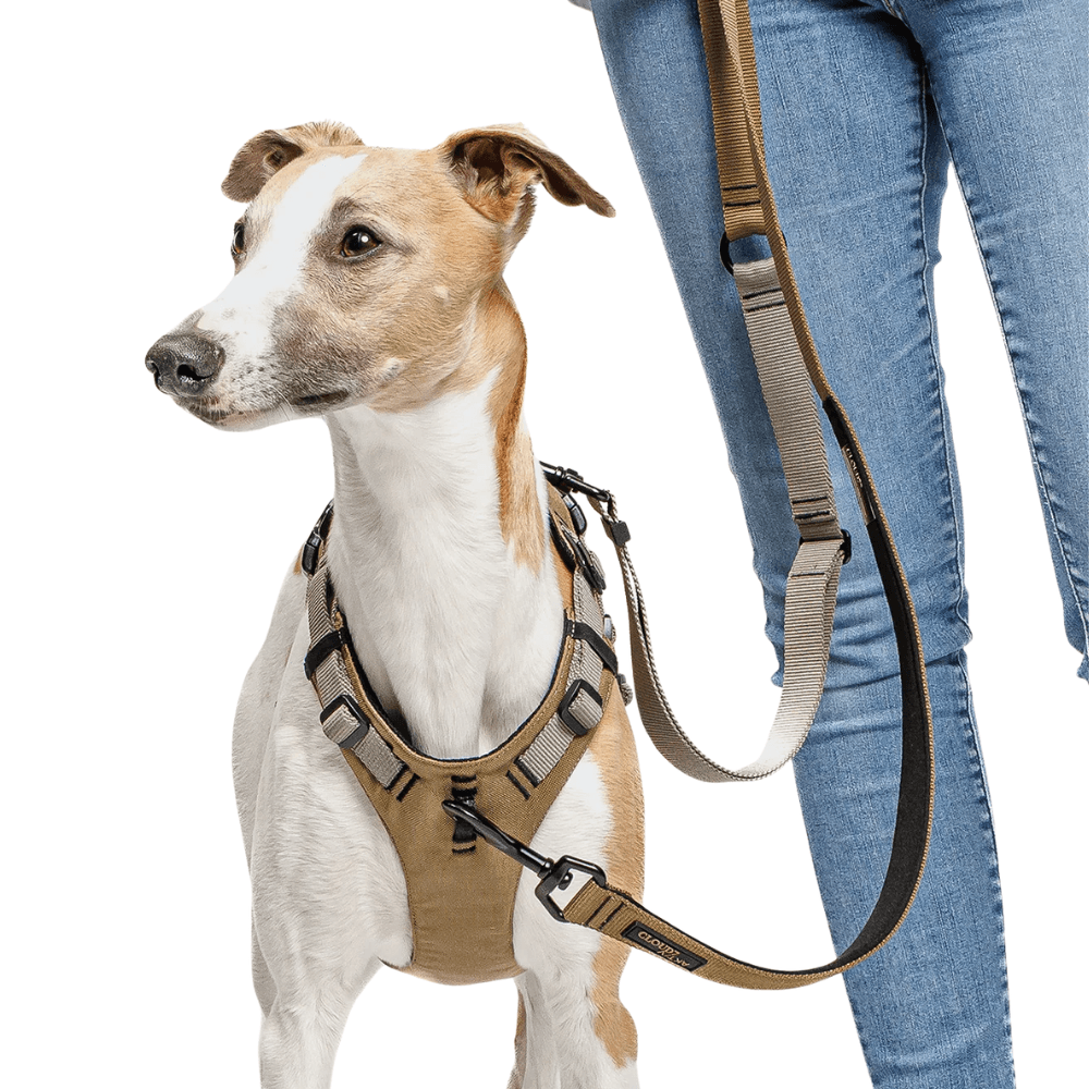 L-1-Hands-Free-Leash S Khaki / Grey, view: 4