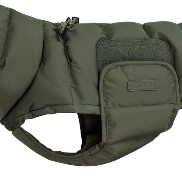 Alaska Winter Coat Dachshund size 2 Light Olive, view: 1