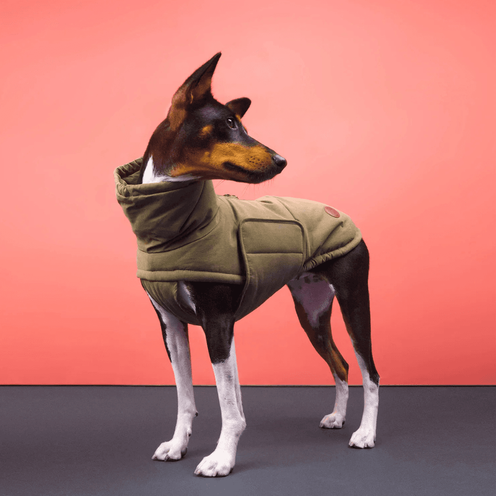 Yukon Winter Coat Teddy size 2 Khaki, view: 3