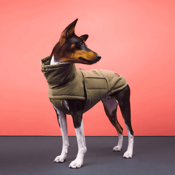 Yukon Winter Coat Teddy size 6 Khaki, view: 5