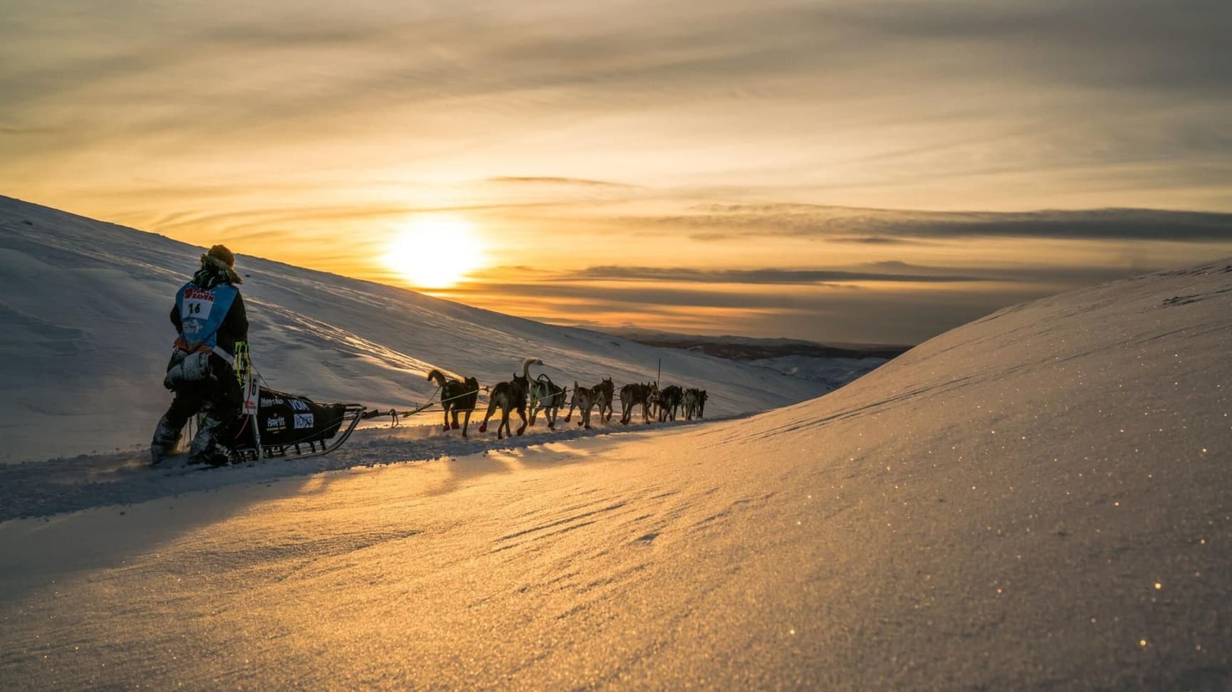 Tundra Svart, view: 6