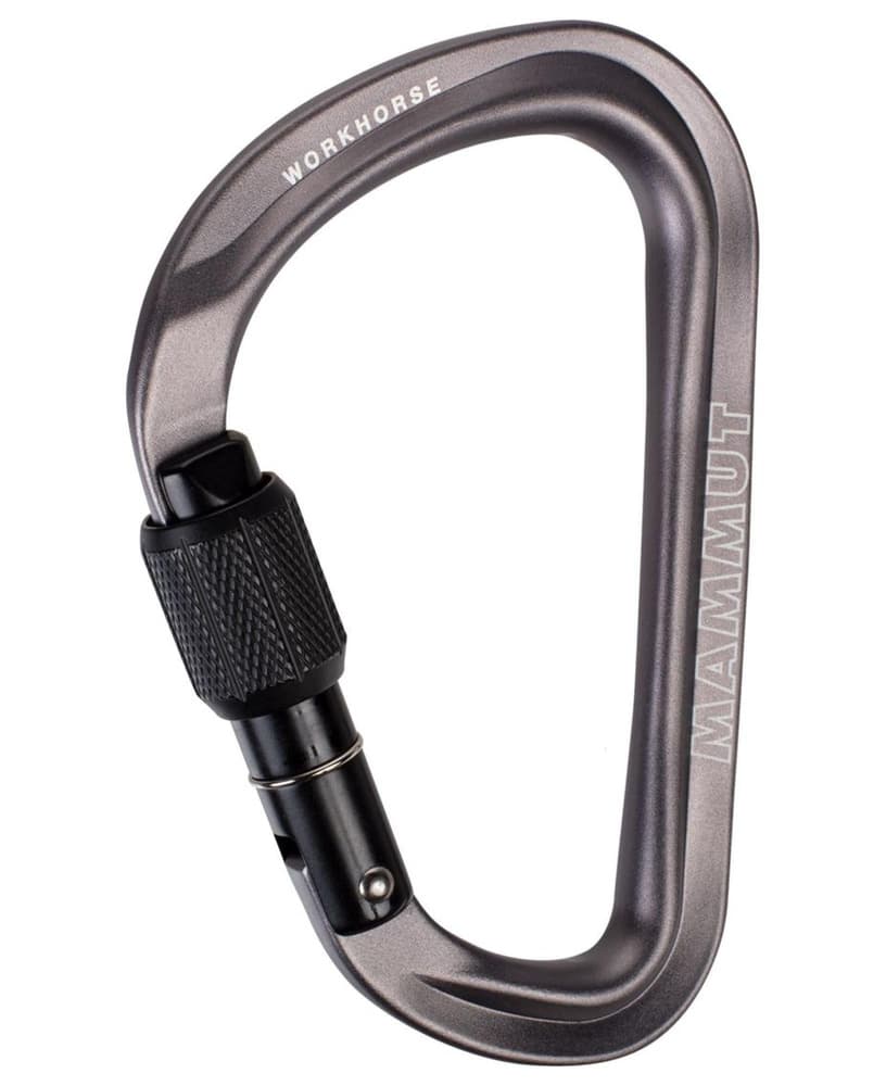 Workhorse Hms Screwgate Carabiner Screw Gate, Grey, view: 0