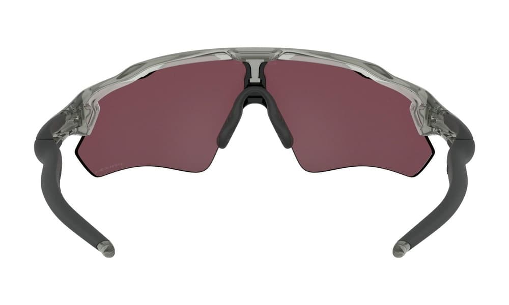 Radar EV Path Grey Ink/Prizm Road Black, view: 2