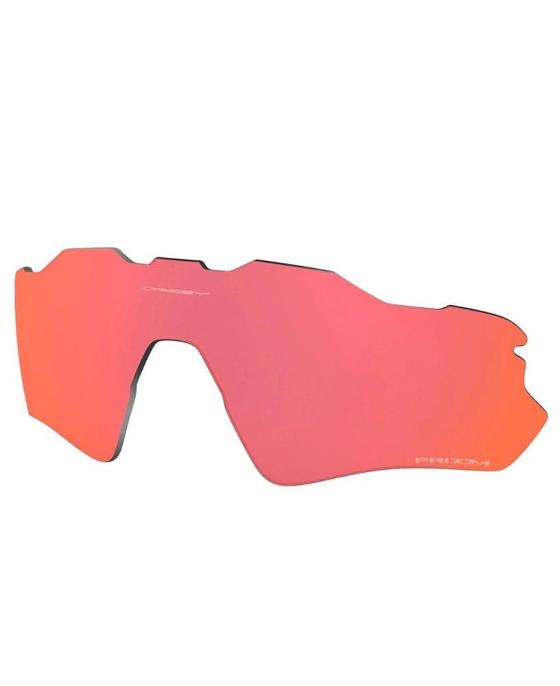 Prizm Trail Torch