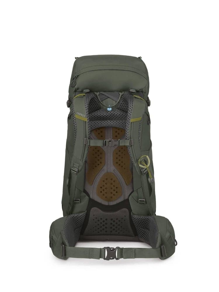 Kestrel 48 Bonsai Green, view: 1