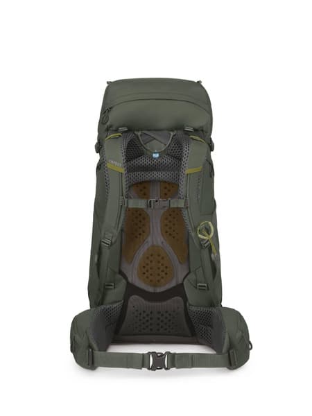 Kestrel 48 Bonsai Green, view: 1