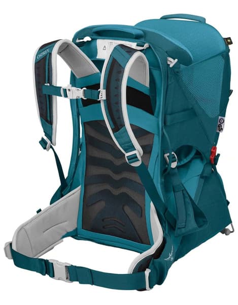 Poco Lt Deep Peyto, view: 2