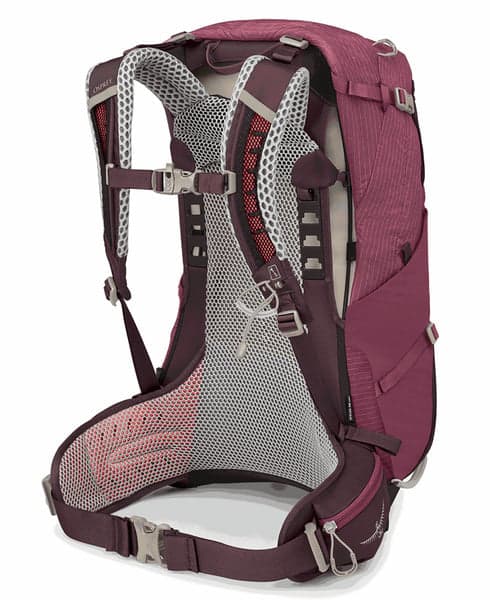 Sirrus 24 Elderberry Purple/Chiru Tan, view: 2