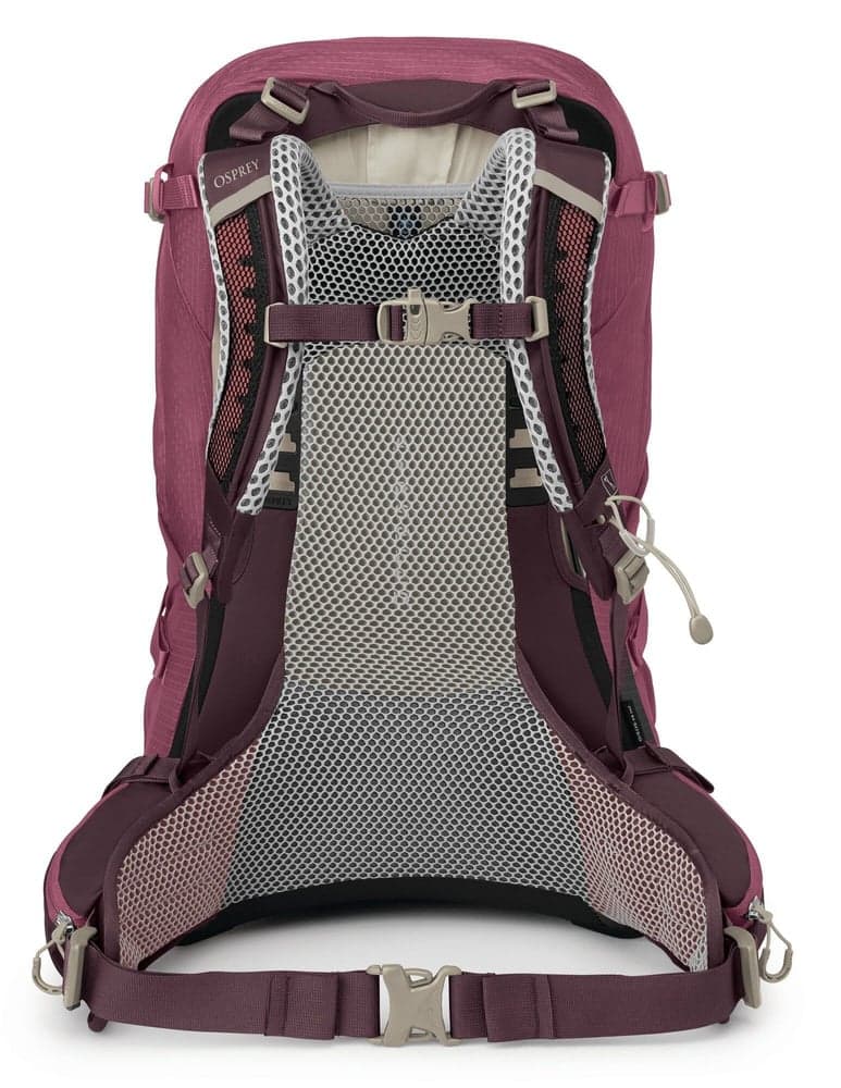 Sirrus 34 Elderberry Purple/Chiru Tan, view: 3