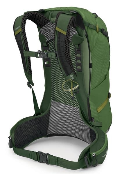 Stratos 24 Seaweed/Matcha Green, view: 2