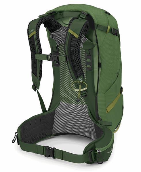 Stratos 34 Seaweed/Matcha Green, view: 2