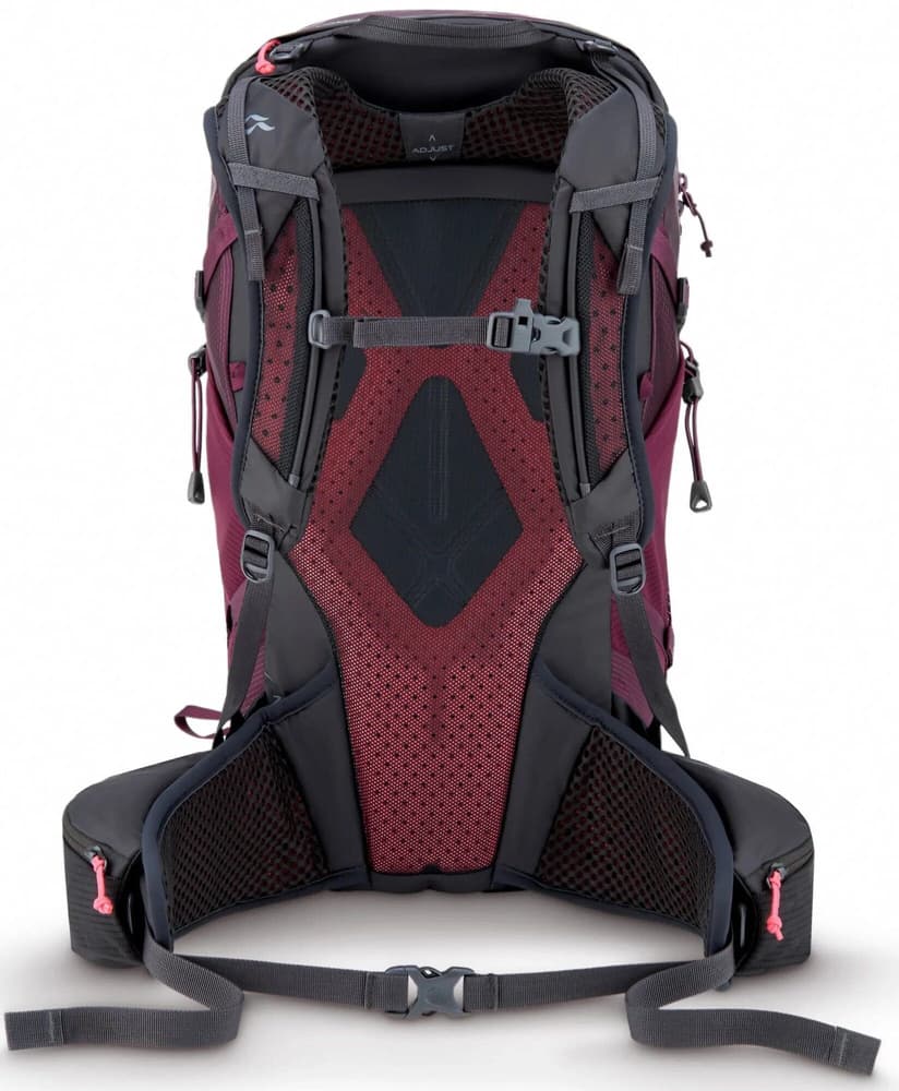 Protium 25 ND Mulberry, view: 2