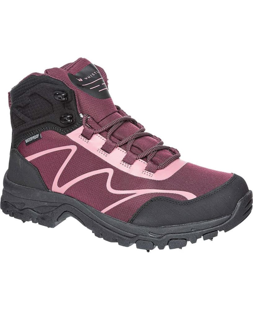 Atenst W Ice Boot WP Sassafras, view: 0