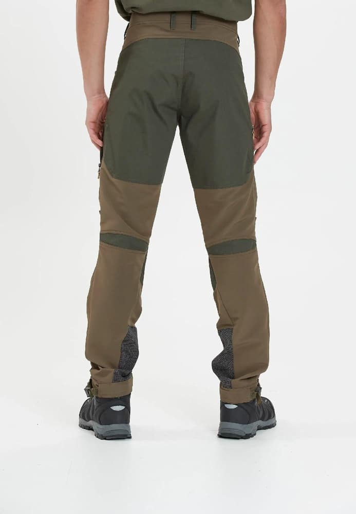 Beina Hiking Forest Night, view: 2