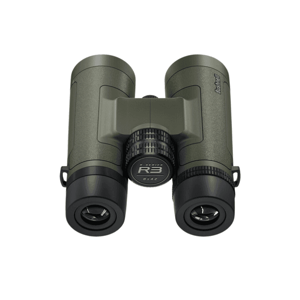 Bushnell R3 8x42 Roof Kiikari, view: 4